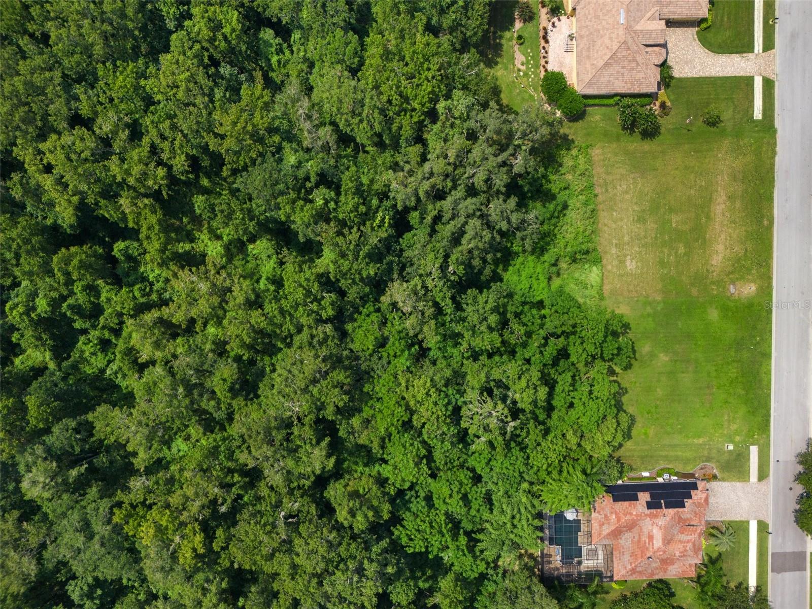 13208 TRADITION DR, DADE CITY, FL — photo 18