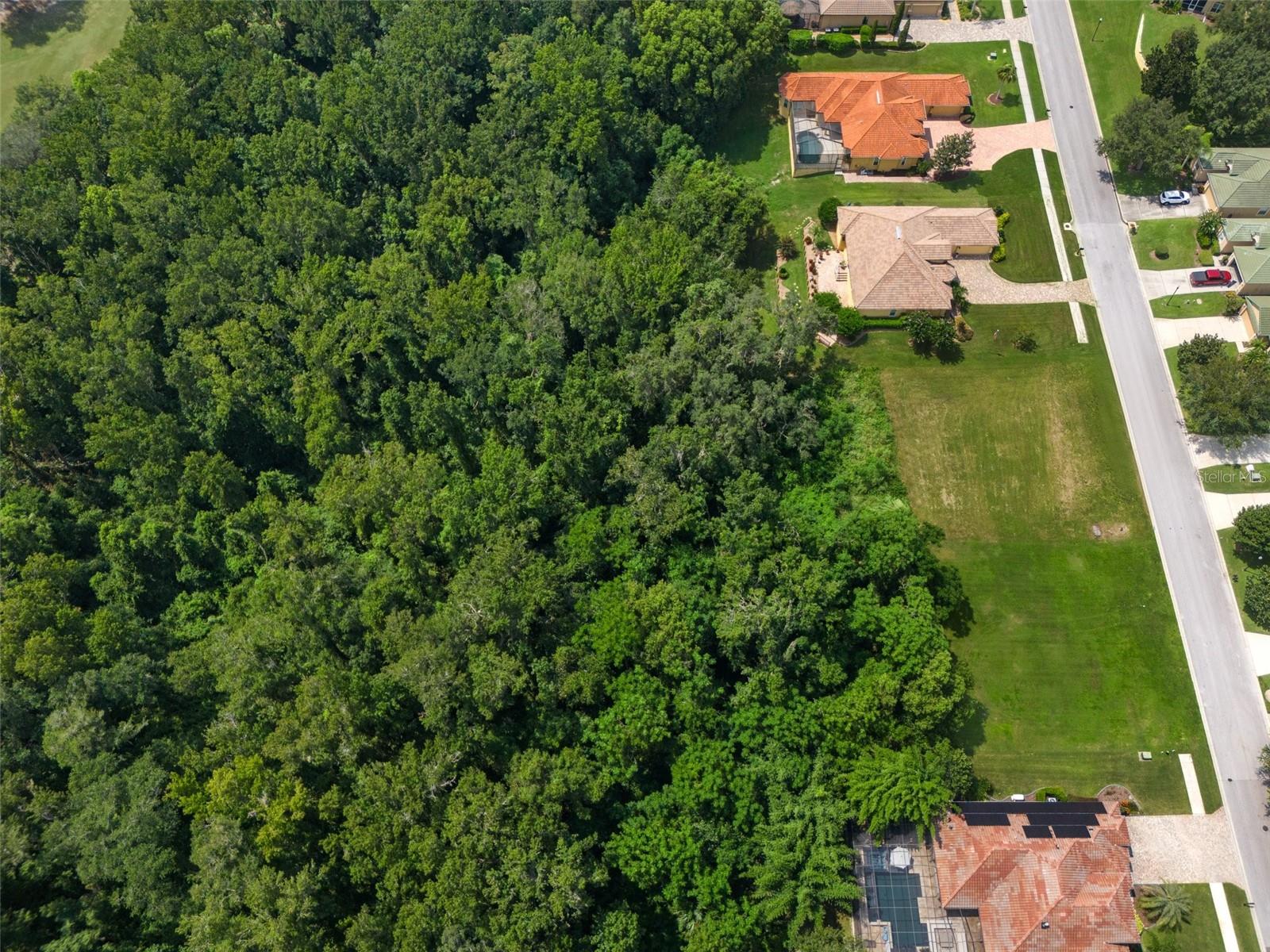 13208 TRADITION DR, DADE CITY, FL — photo 19