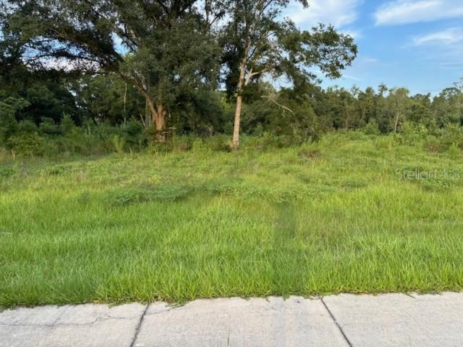 SW 4TH AVE., CHIEFLAND, FL — photo 3