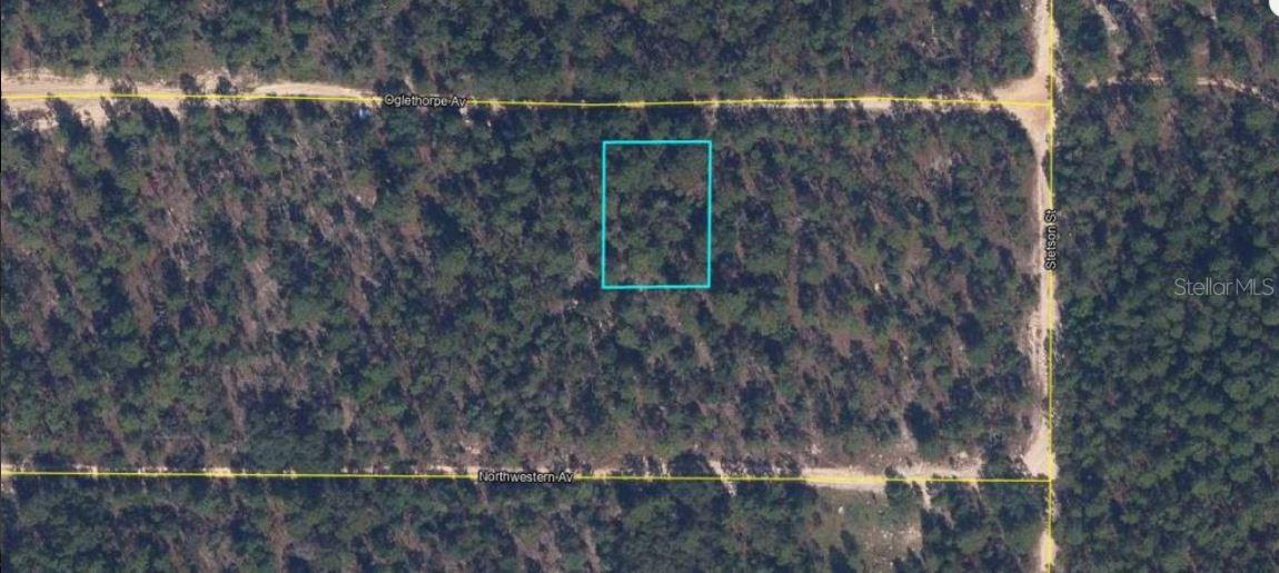6213 OLGETHORPE AVE, KEYSTONE HEIGHTS, FL — photo 2