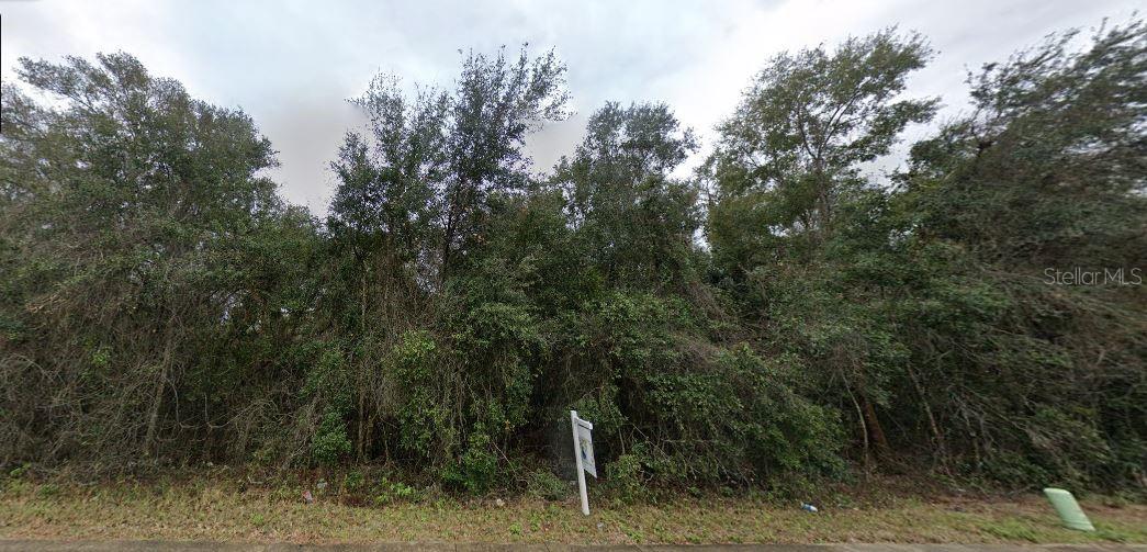 SE HAWTHORNE RD, HAWTHORNE, FL — photo 2