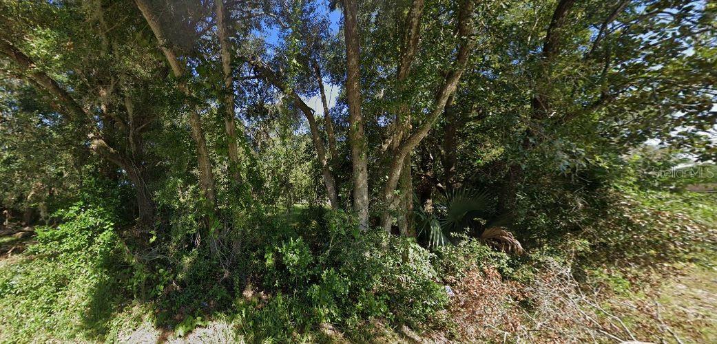 SE HAWTHORNE RD, HAWTHORNE, FL — photo 3