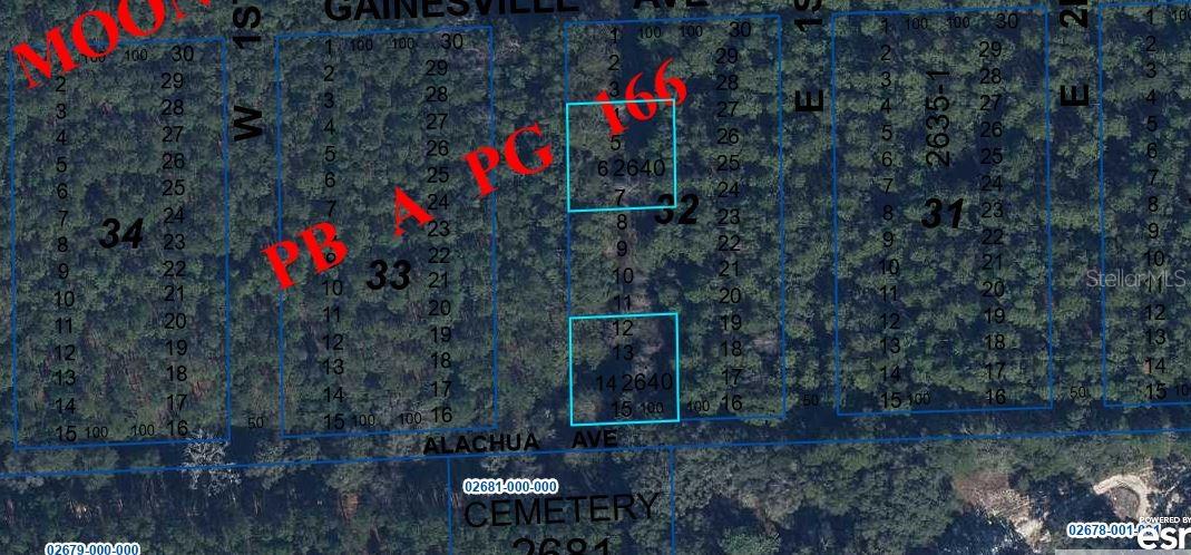 GAINESVILLE AVE, NEWBERRY, FL