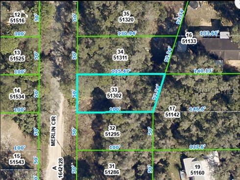 4842 MERLIN CIR CIR, DADE CITY, FL — photo 2