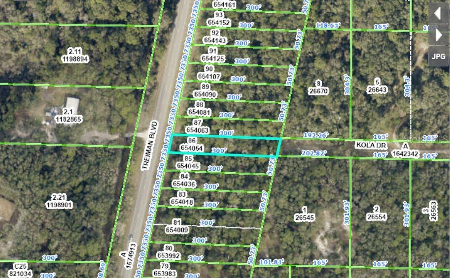 8250 TREIMAN BLVD BLVD, WEBSTER, FL