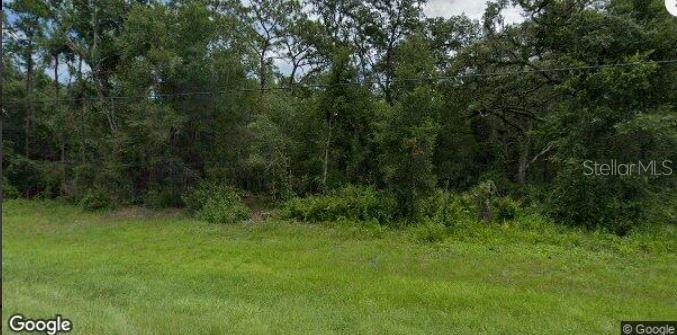 8250 TREIMAN BLVD BLVD, WEBSTER, FL — photo 2