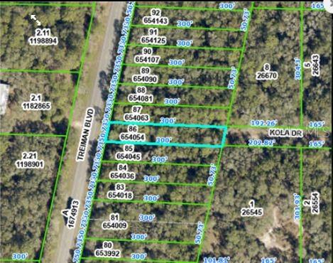 8250 TREIMAN BLVD BLVD, WEBSTER, FL — photo 3