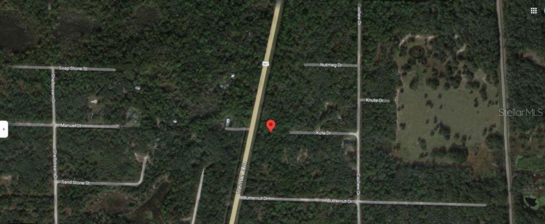 8250 TREIMAN BLVD BLVD, WEBSTER, FL — photo 4