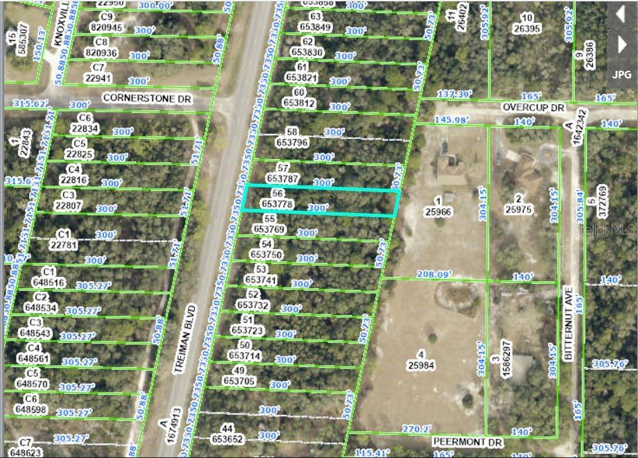 8086 TREIMAN BLVD BLVD, WEBSTER, FL