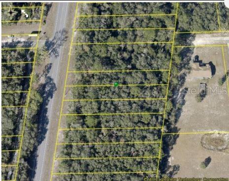 8086 TREIMAN BLVD BLVD, WEBSTER, FL — photo 2