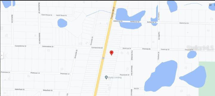 8086 TREIMAN BLVD BLVD, WEBSTER, FL — photo 3