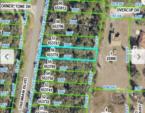 8086 TREIMAN BLVD BLVD, WEBSTER, FL — photo 4