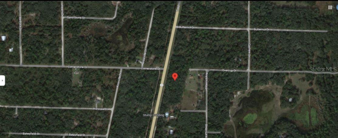 8086 TREIMAN BLVD BLVD, WEBSTER, FL — photo 5