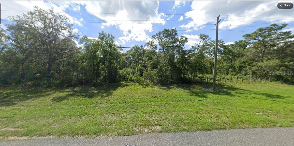8086 TREIMAN BLVD BLVD, WEBSTER, FL — photo 7