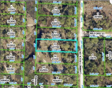 CHIMNEY ROCK DR, WEBSTER, FL — photo 2