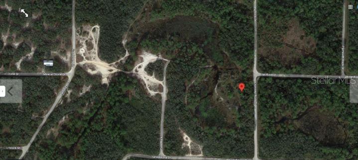 CHIMNEY ROCK DR, WEBSTER, FL — photo 4