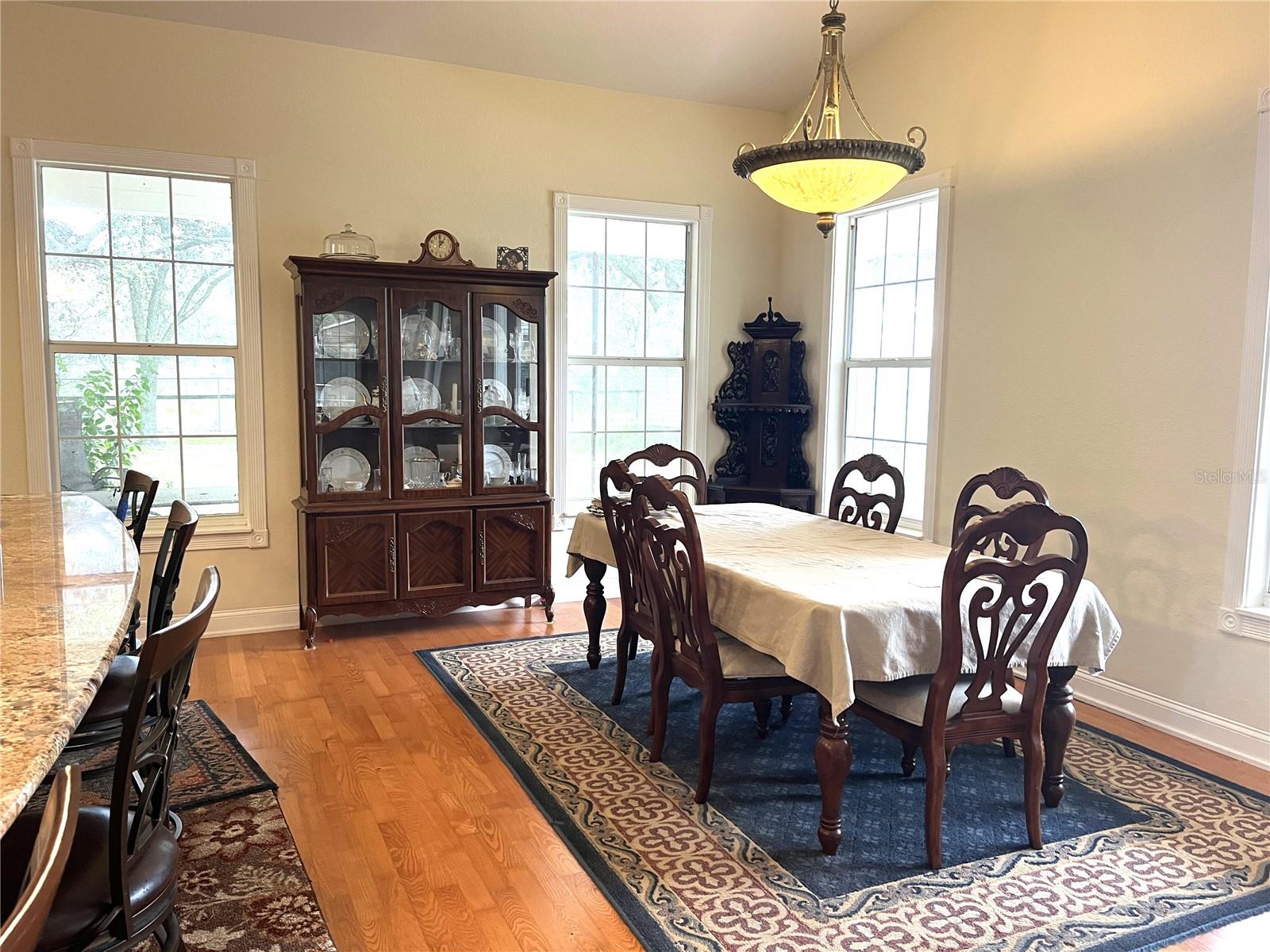 30737 ELAM RD, WESLEY CHAPEL, FL — photo 34