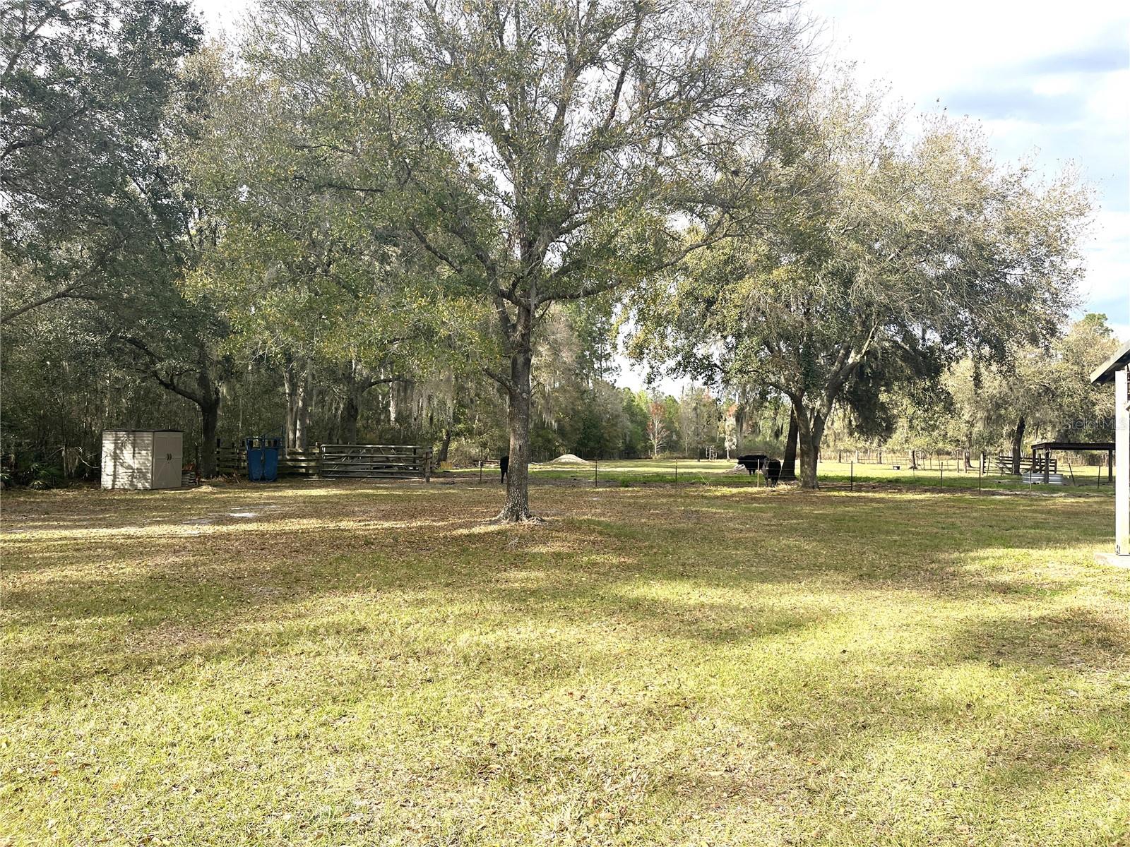 30737 ELAM RD, WESLEY CHAPEL, FL — photo 15