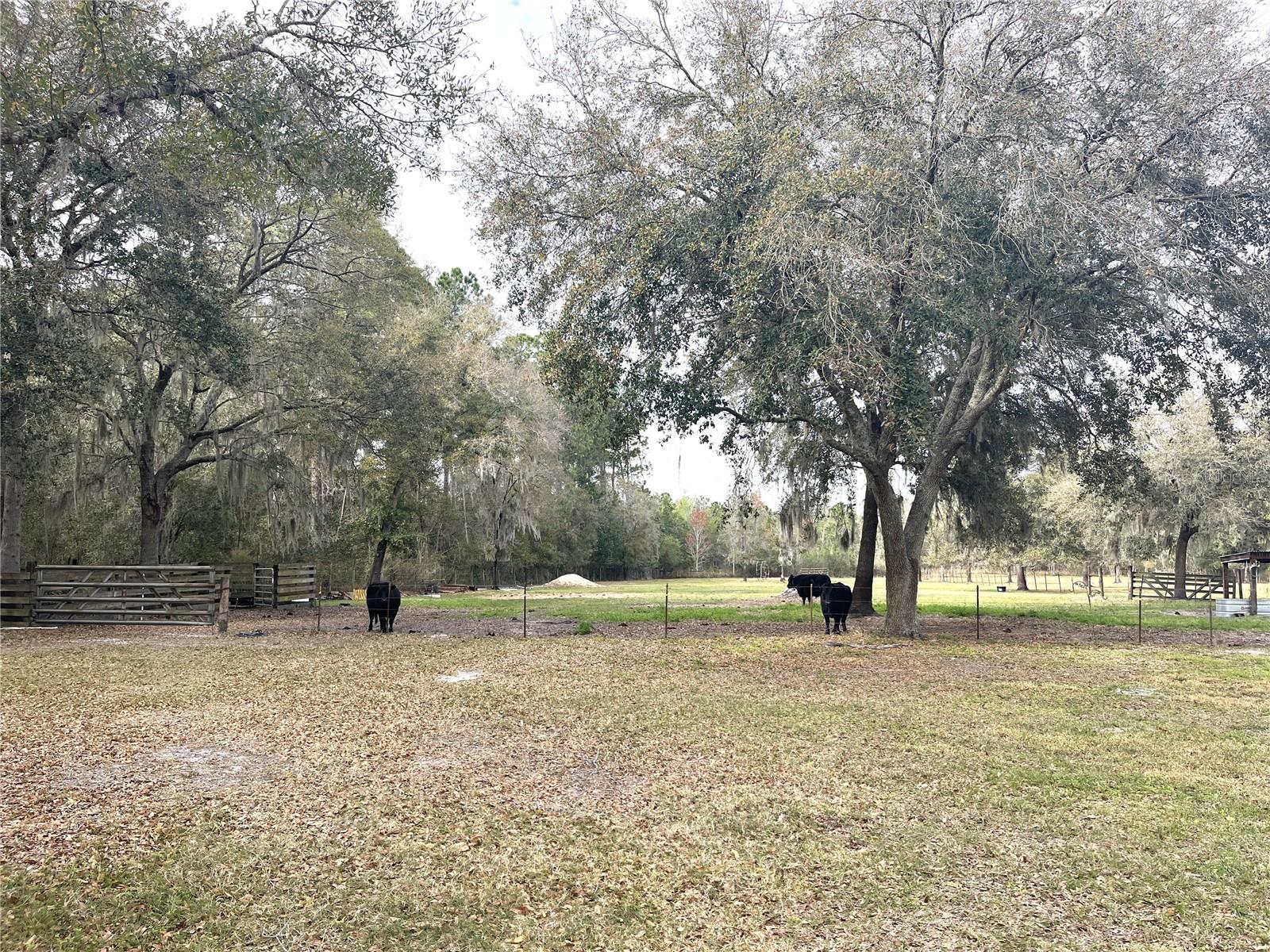 30737 ELAM RD, WESLEY CHAPEL, FL — photo 22