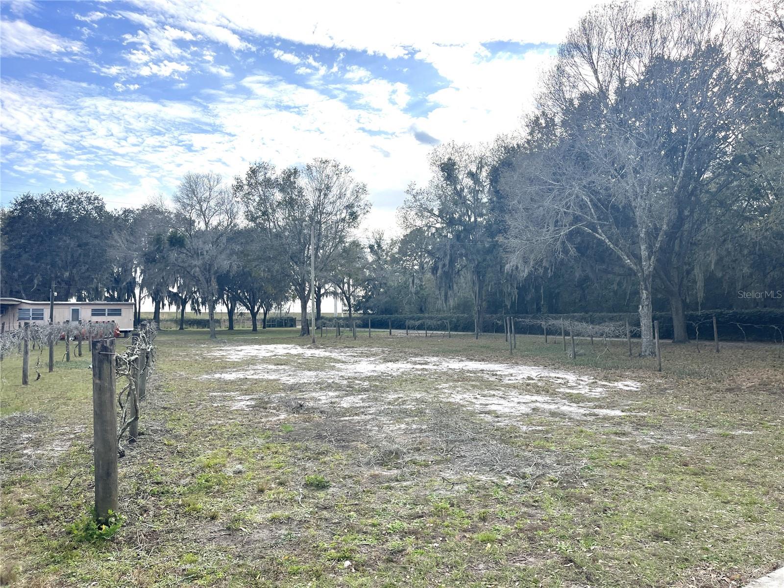 30737 ELAM RD, WESLEY CHAPEL, FL — photo 25