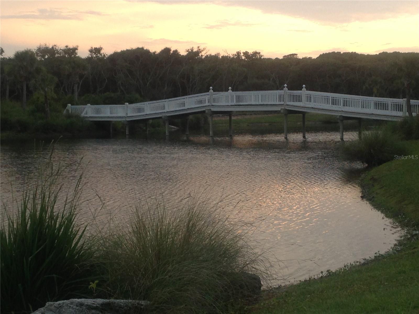 7 BEACH HAVEN PKWY, PALM COAST, FL — photo 96
