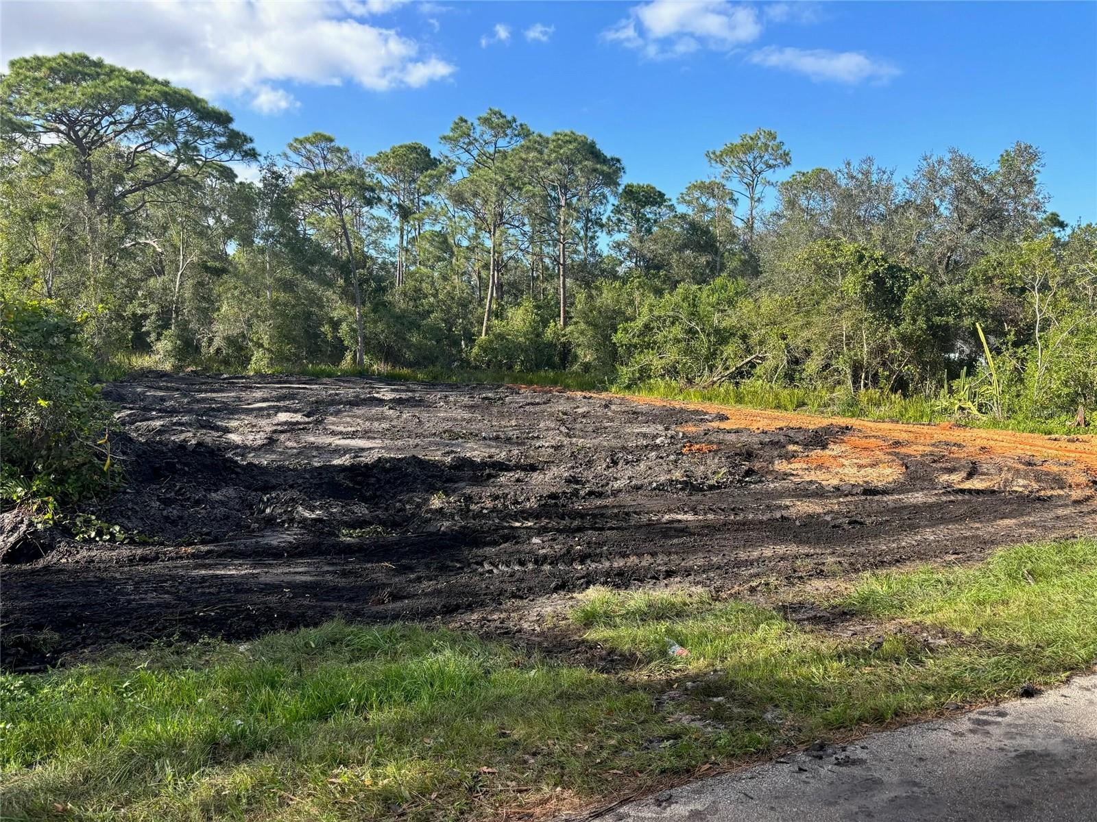 1518 WINTER RD, LAKE PLACID, FL