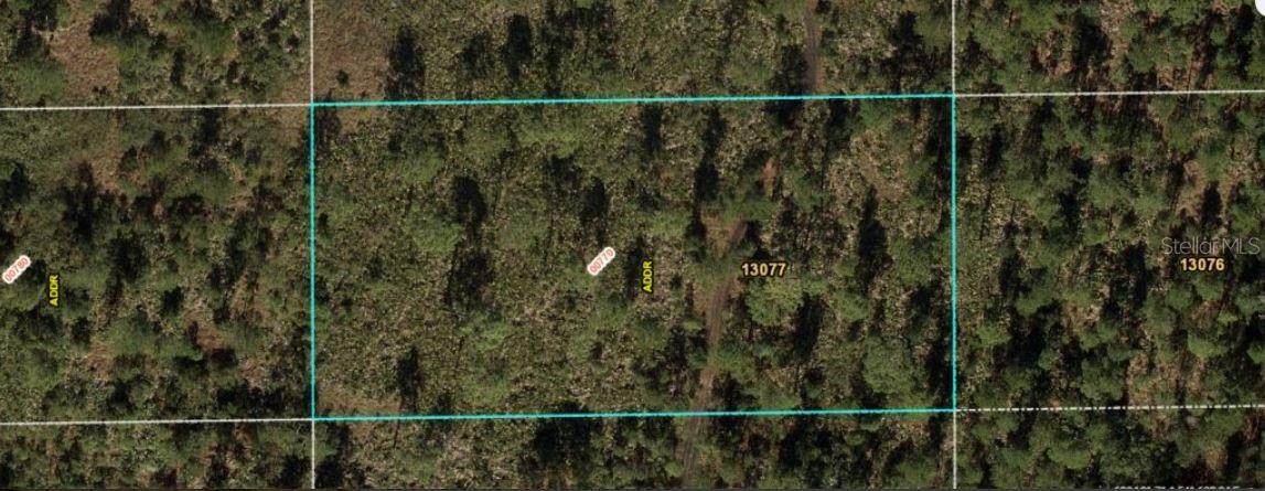 DILL RD, ORLANDO, FL — photo 2