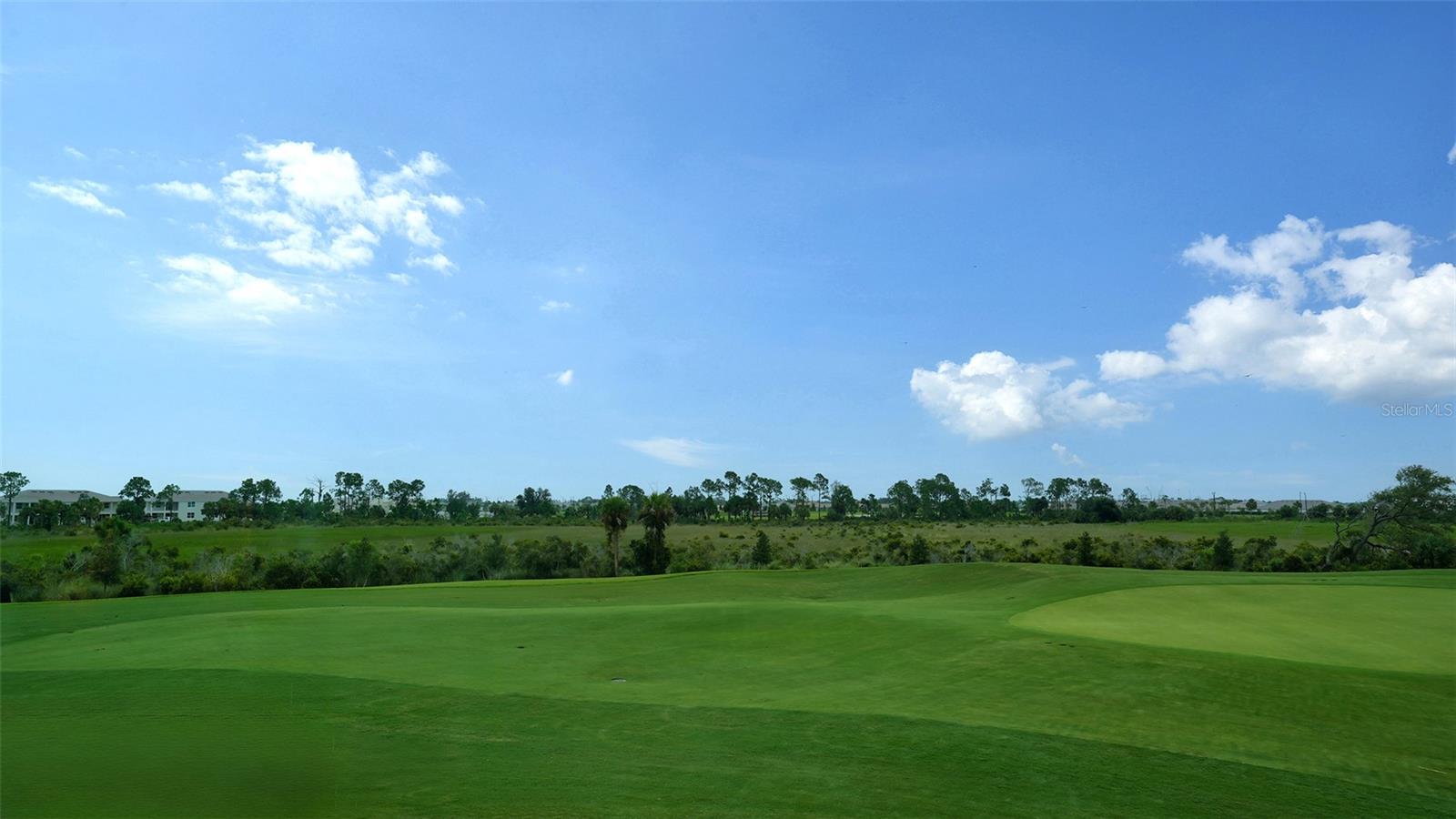 12550 GALAPAGOS CT #206, VENICE, FL — photo 29