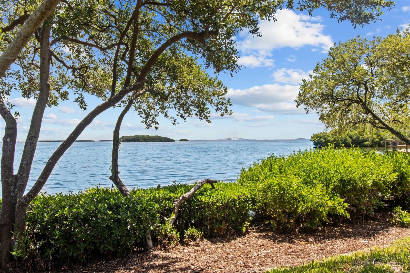 1515 PINELLAS BAYWAY S #65, ST PETERSBURG, FL — photo 3