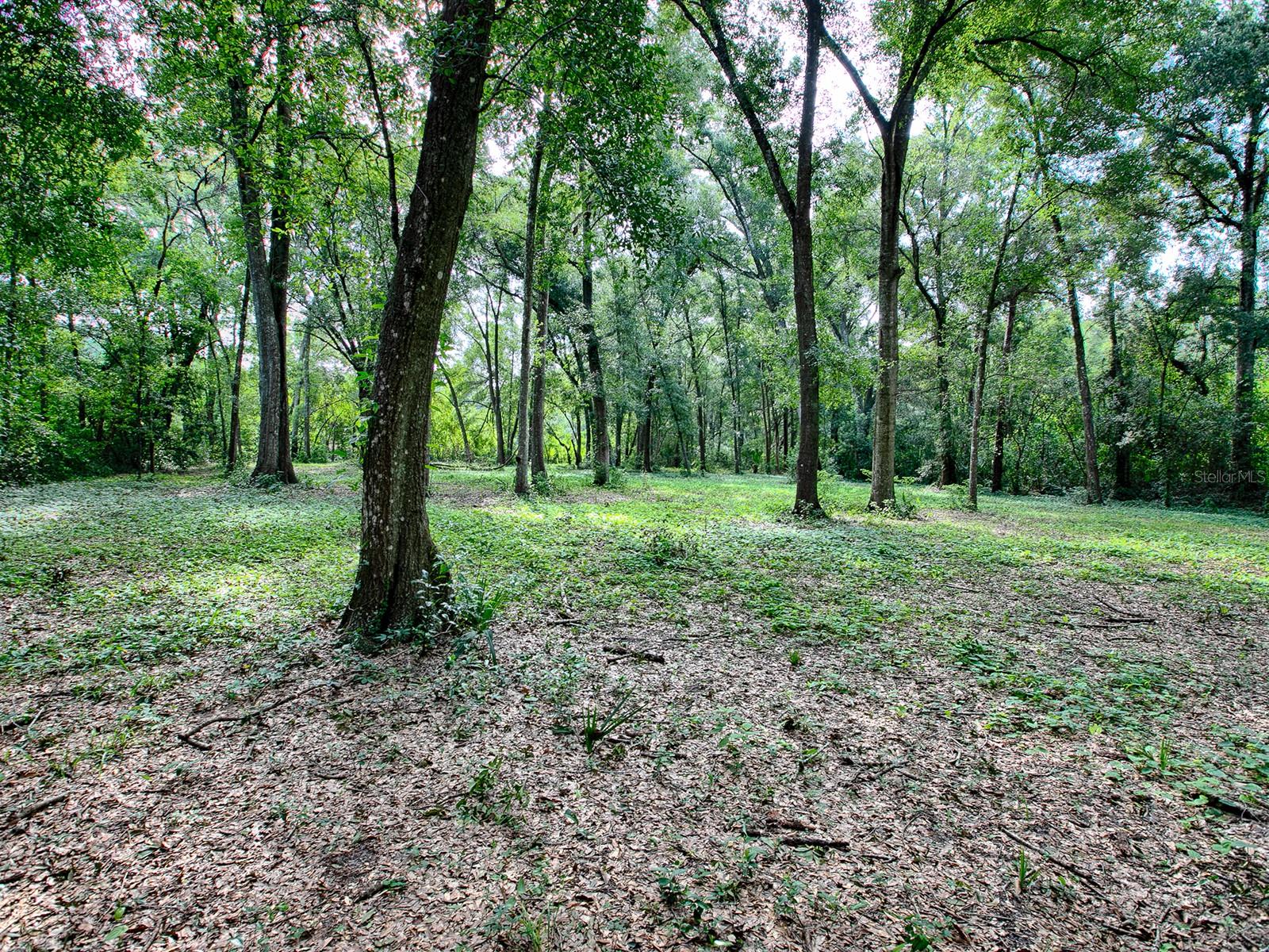 4905 PLYMOUTH SORRENTO RD, APOPKA, FL — photo 27