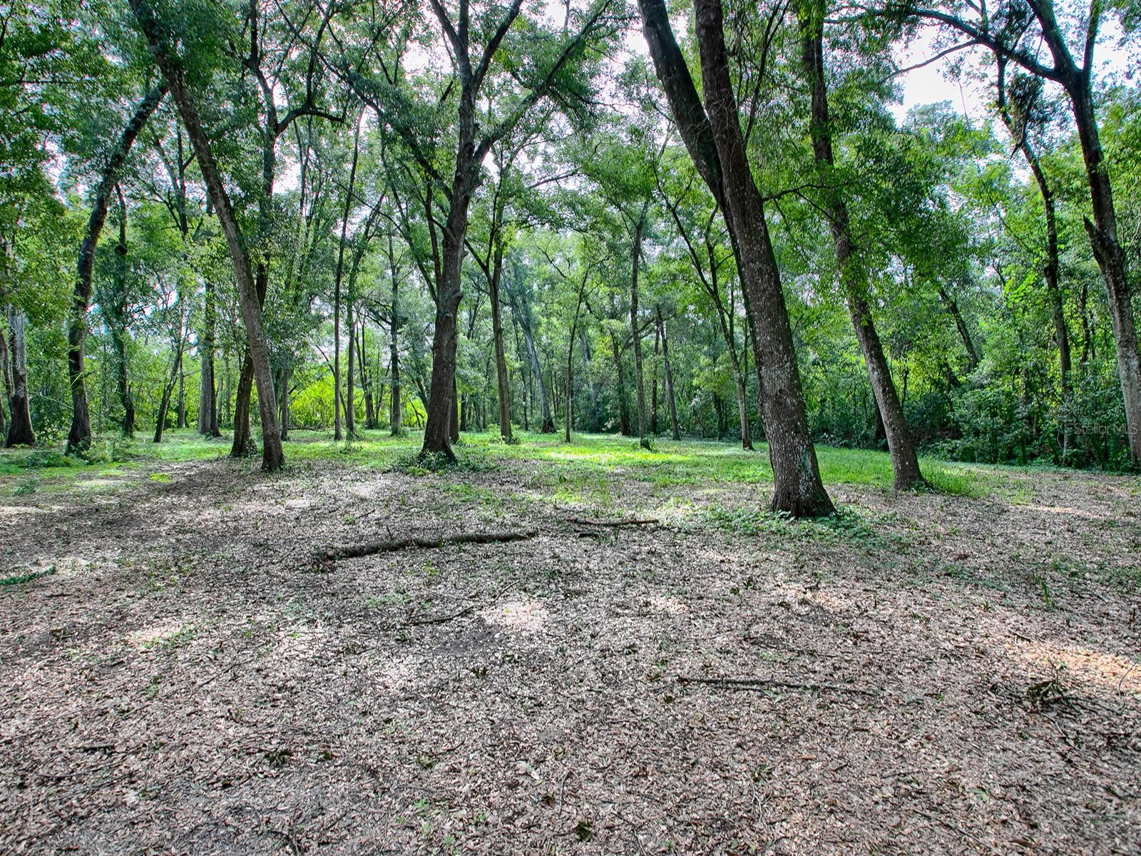 4905 PLYMOUTH SORRENTO RD, APOPKA, FL — photo 29