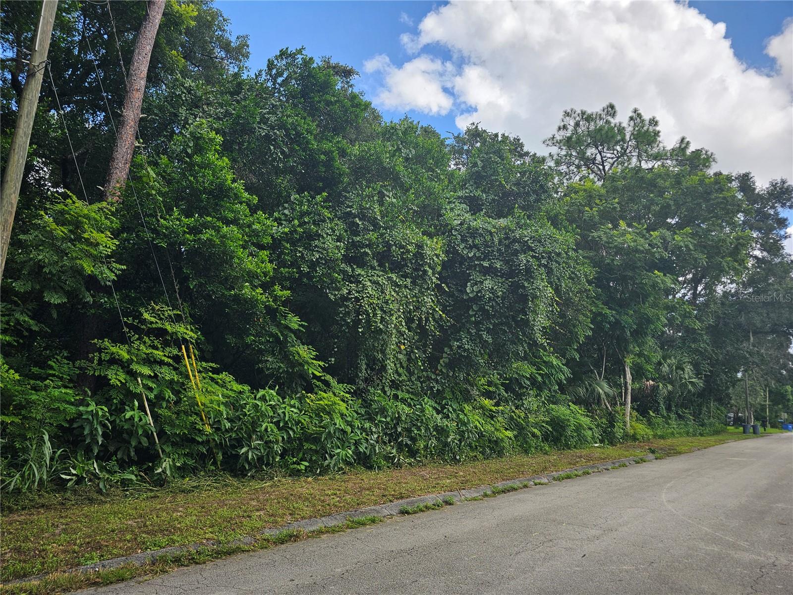 N CARPENTER AVE, ORANGE CITY, FL