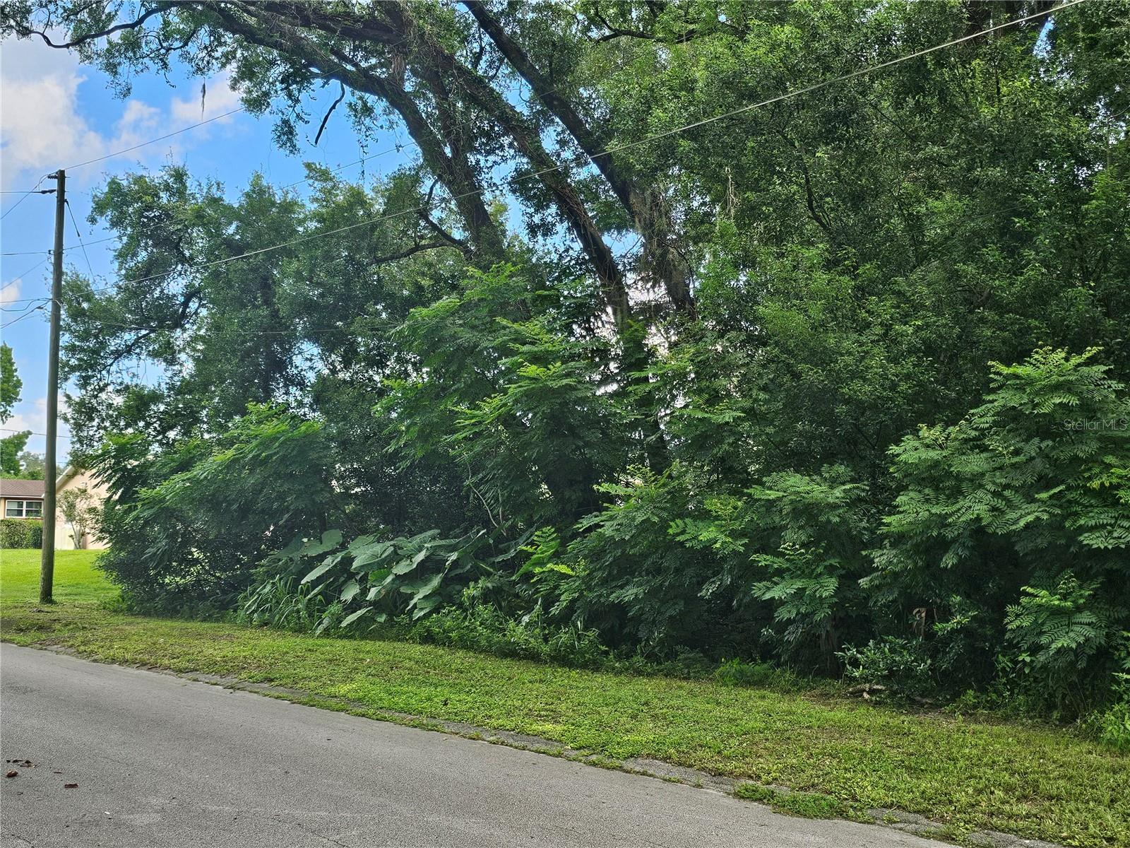 N CARPENTER AVE, ORANGE CITY, FL — photo 2