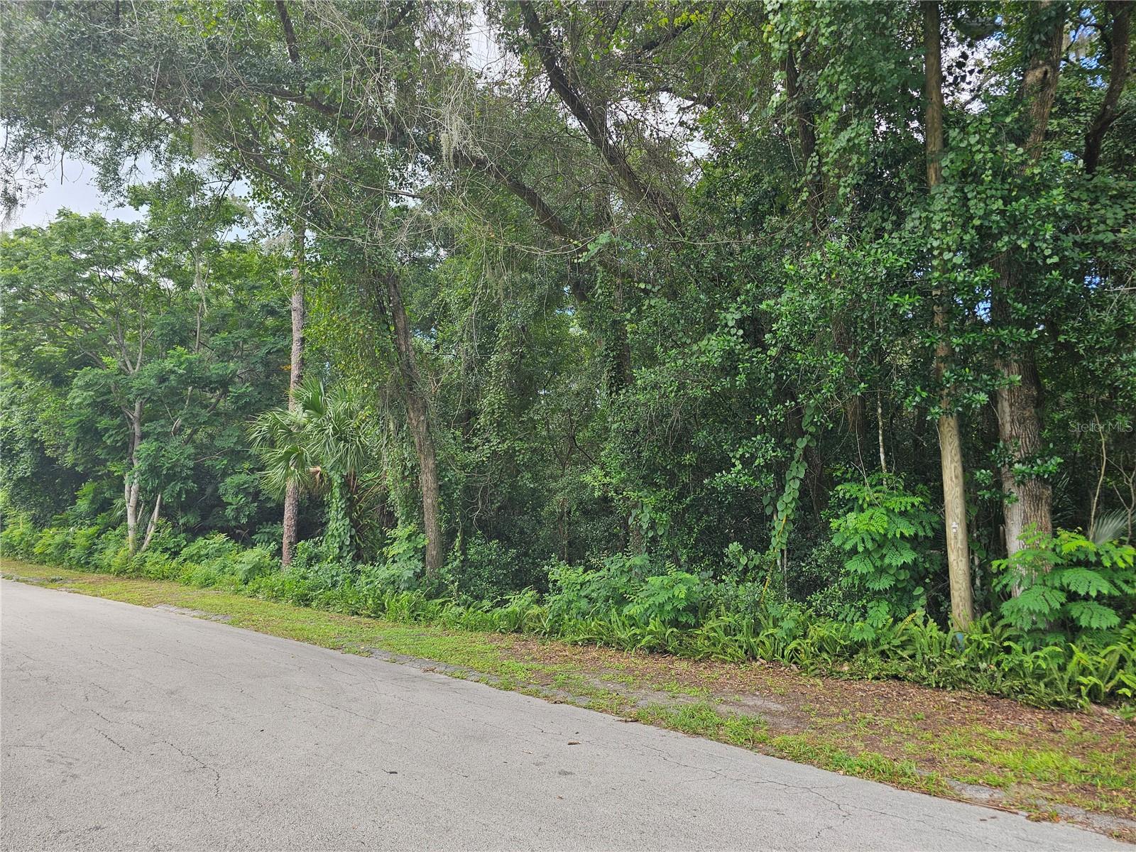 N CARPENTER AVE, ORANGE CITY, FL — photo 3