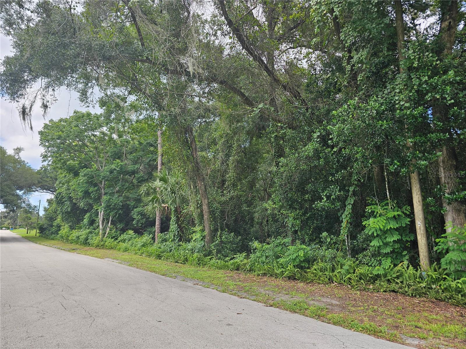 N CARPENTER AVE, ORANGE CITY, FL — photo 4