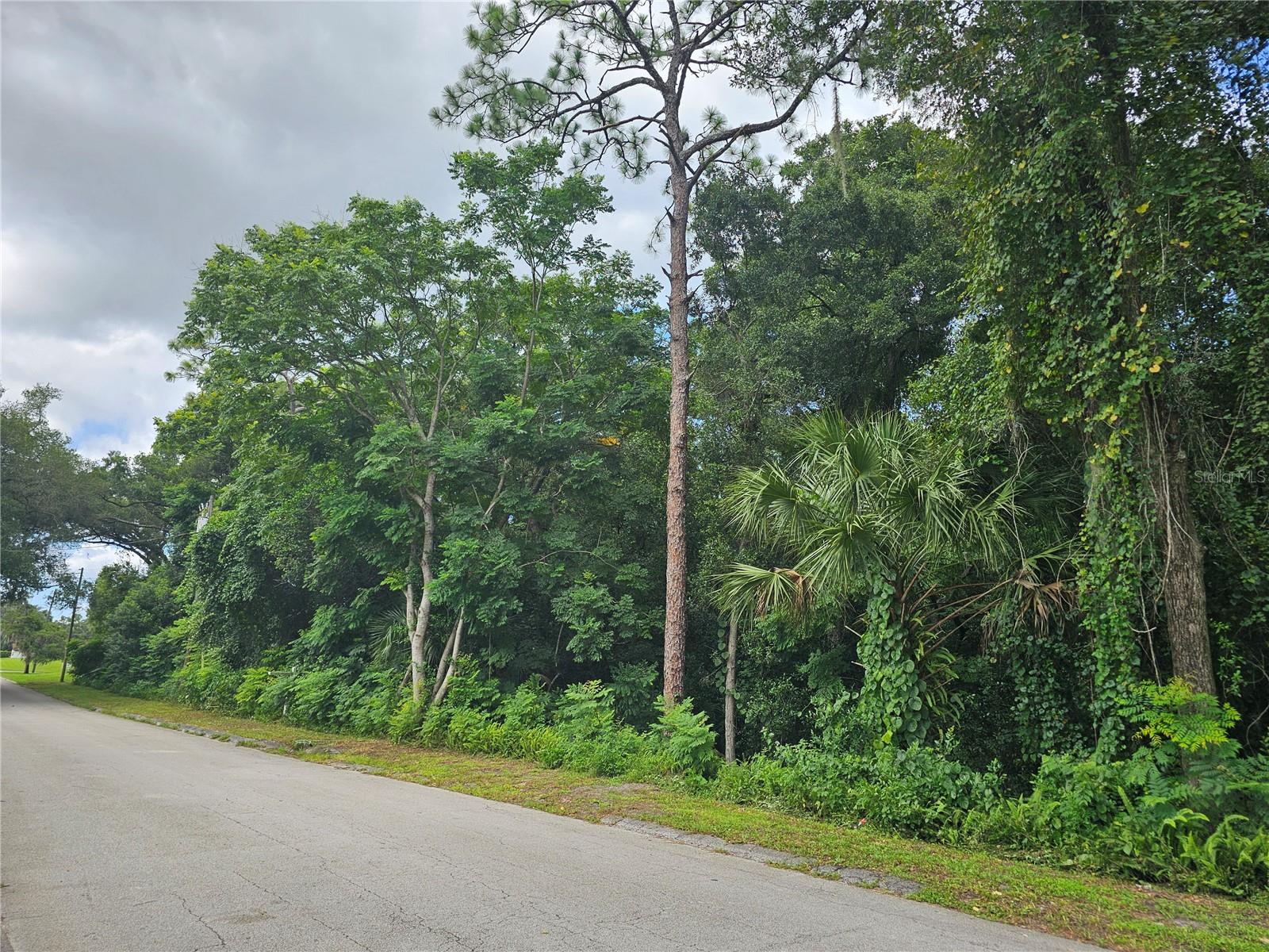 N CARPENTER AVE, ORANGE CITY, FL — photo 5