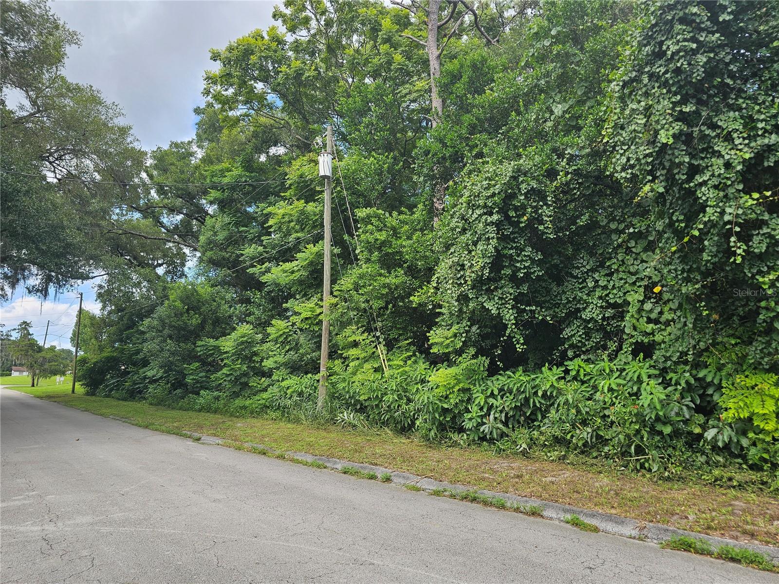 N CARPENTER AVE, ORANGE CITY, FL — photo 6