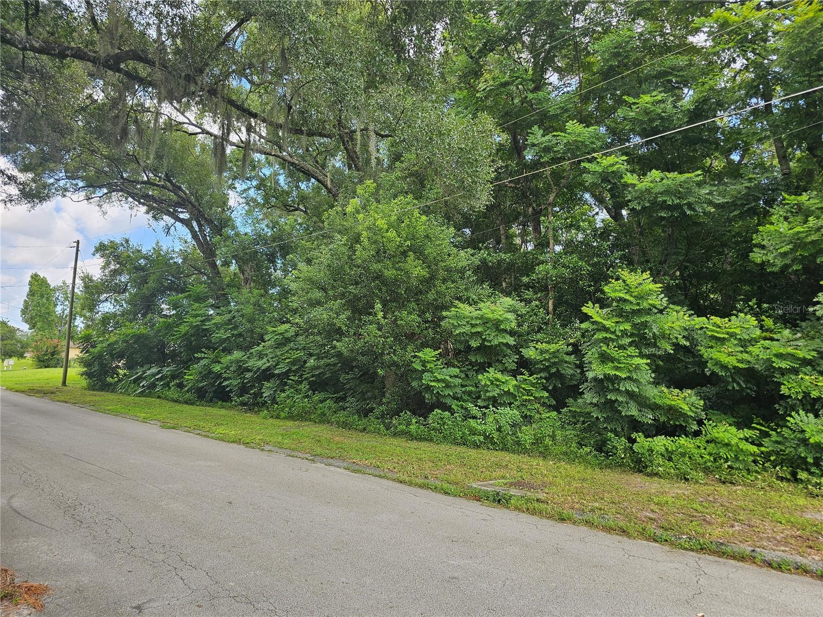 N CARPENTER AVE, ORANGE CITY, FL — photo 7