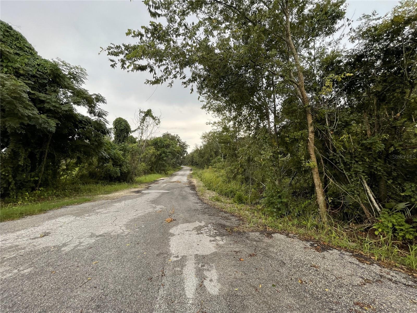 TBD HICKORY TRACK DR, OCALA, FL — photo 2