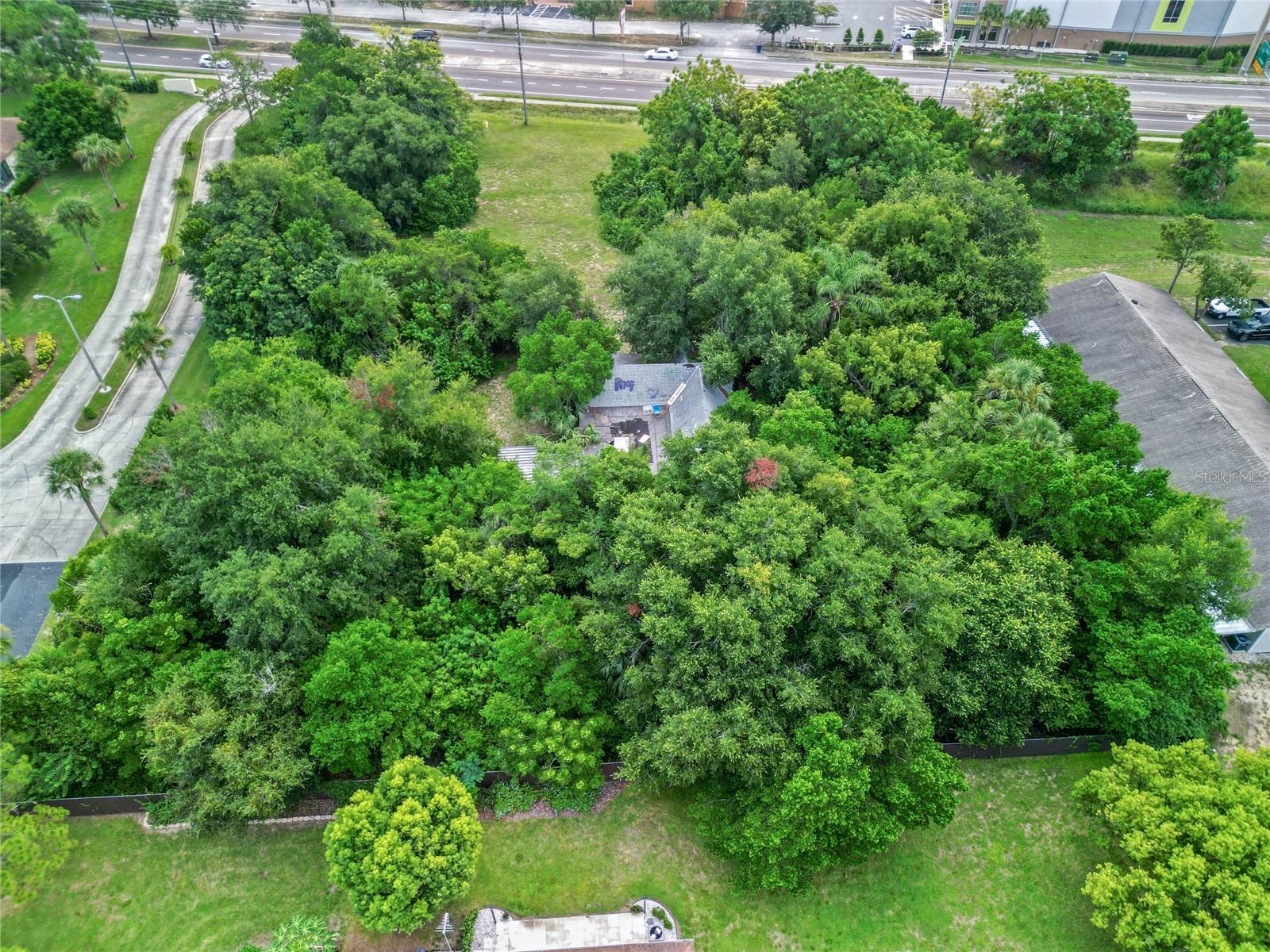30035 STATE ROAD 19, TAVARES, FL — photo 17