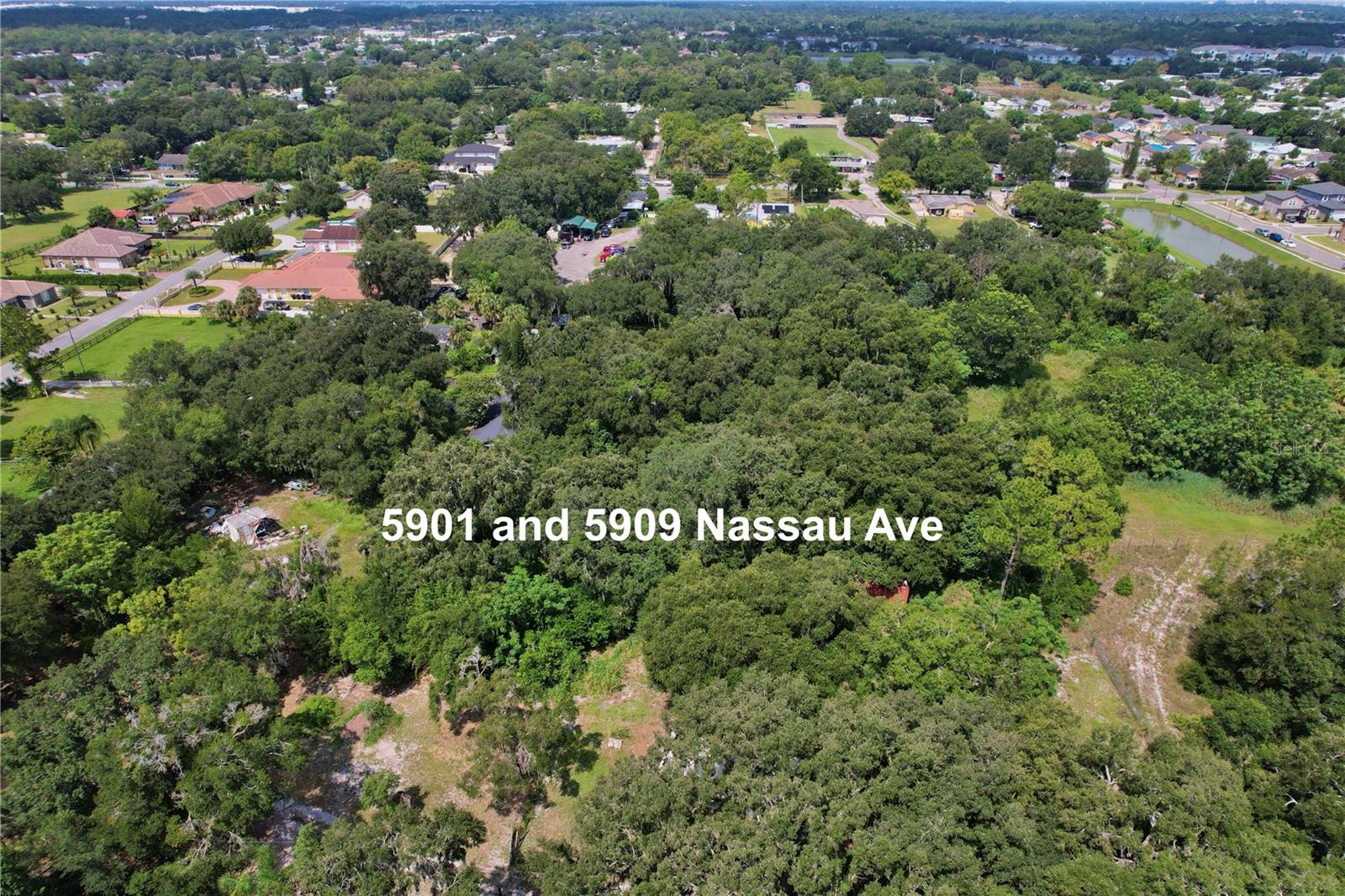 6880 REDDITT RD, ORLANDO, FL — photo 5