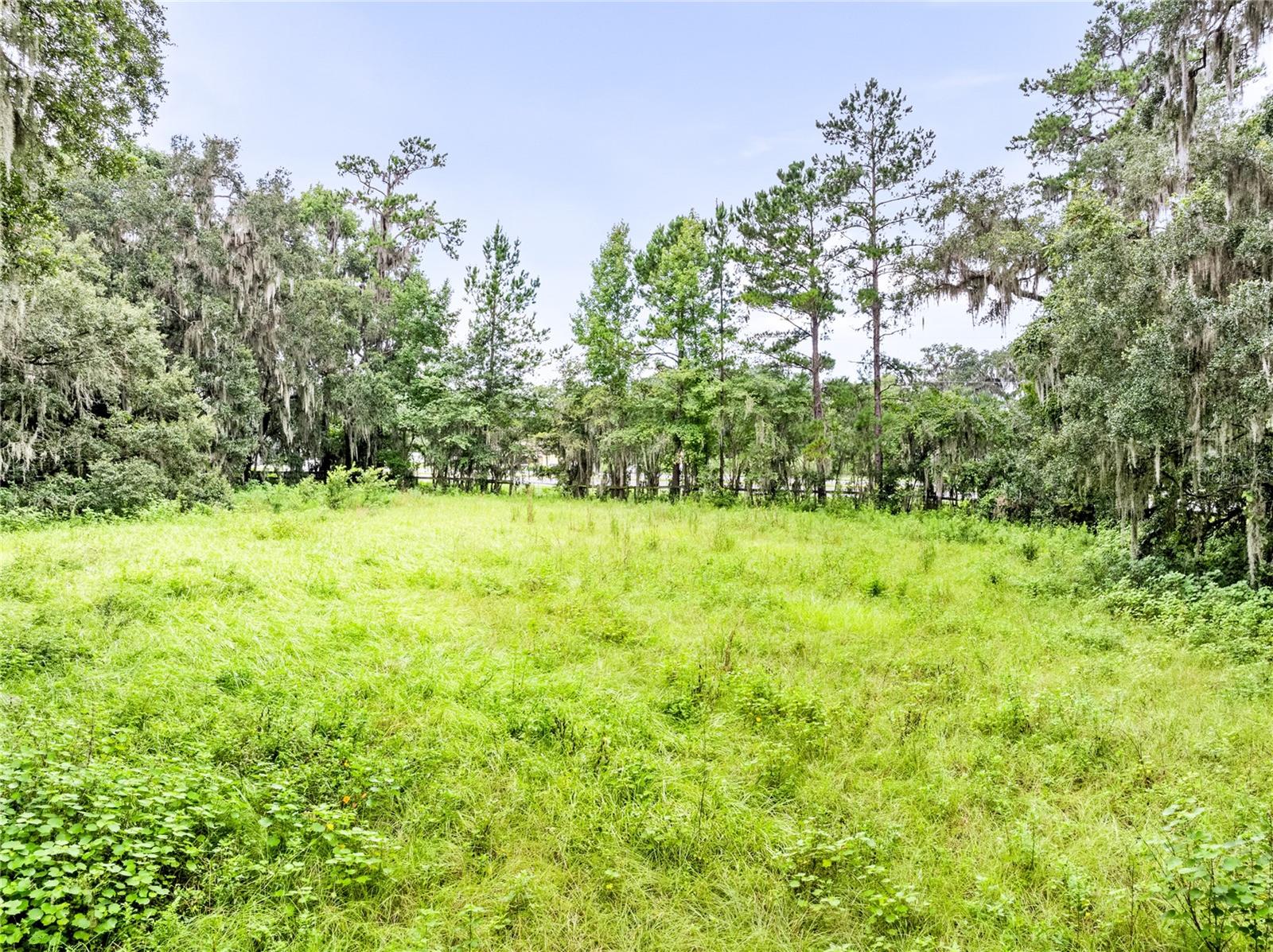 12255 N US HIGHWAY 27, OCALA, FL — photo 9