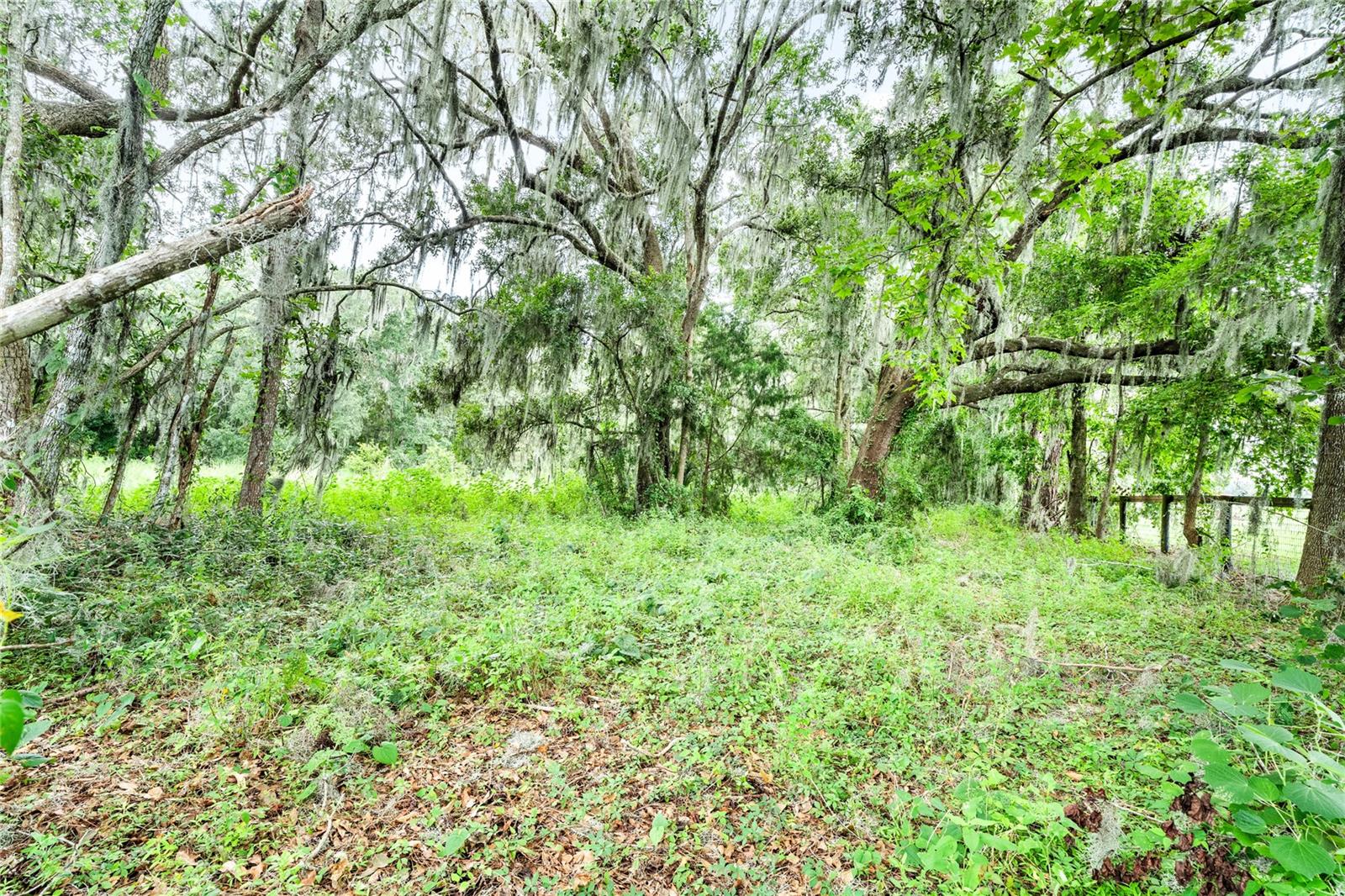 12255 N US HIGHWAY 27, OCALA, FL — photo 10