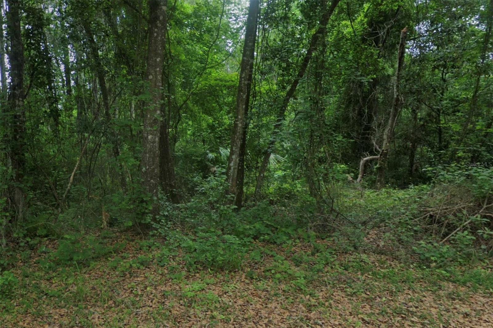 102 RIDGELINE AVE, SATSUMA, FL — photo 3