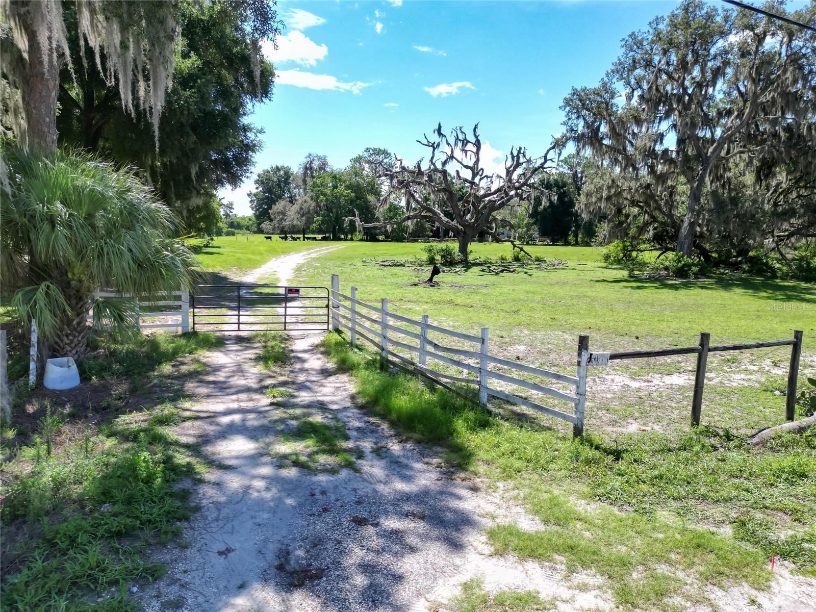 8315 TOM COSTINE RD, LAKELAND, FL