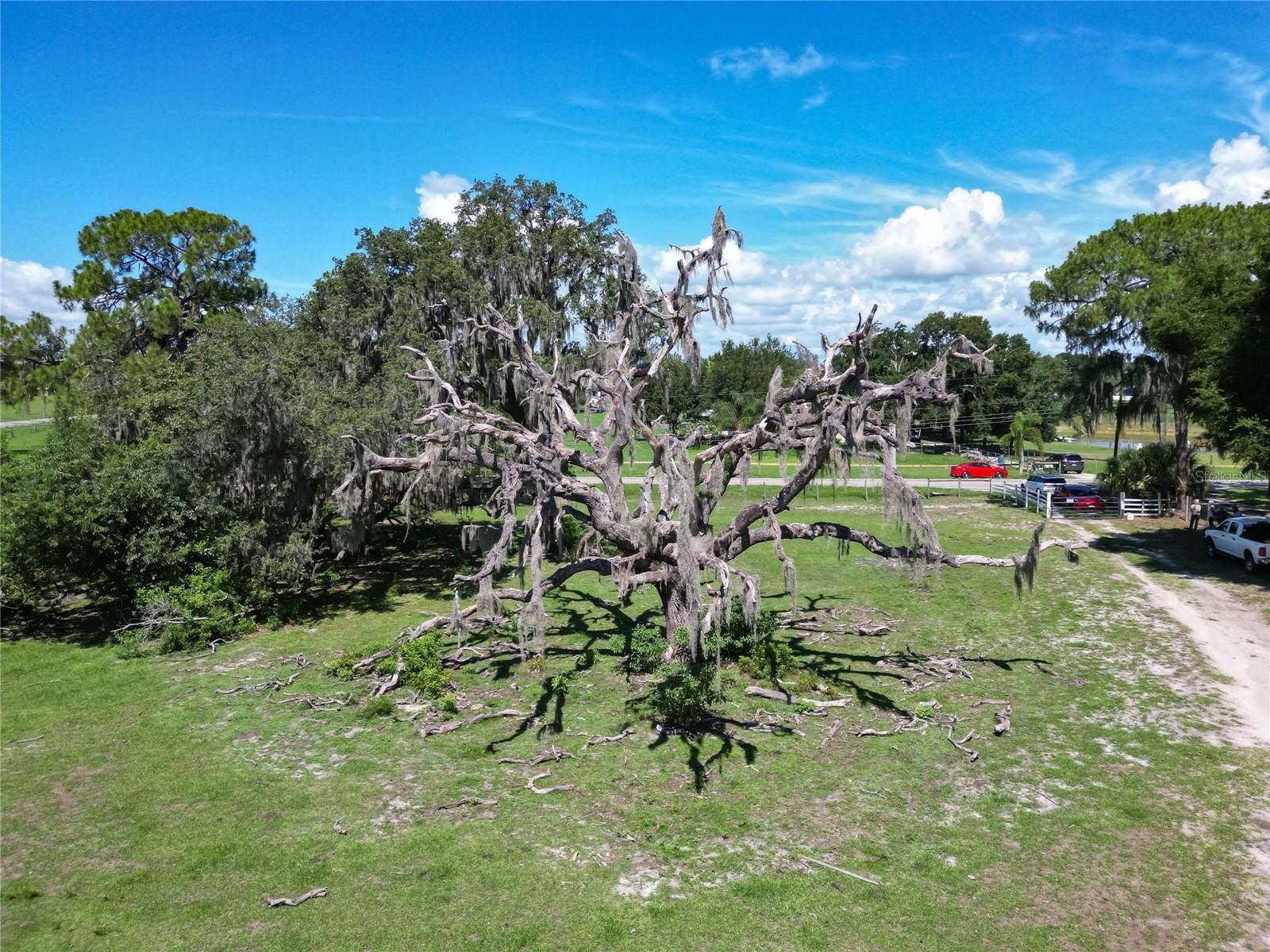 8315 TOM COSTINE RD, LAKELAND, FL — photo 7