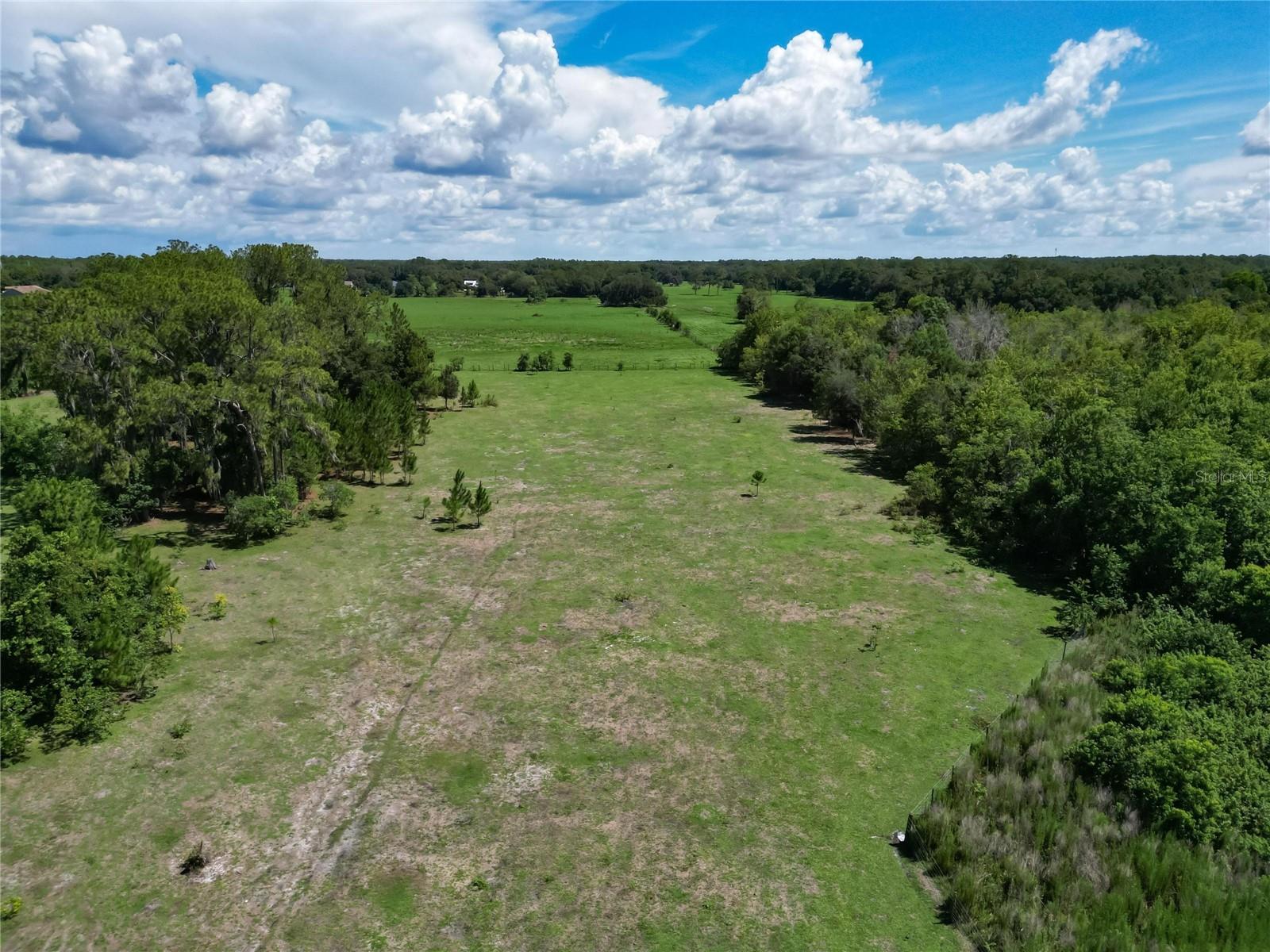 8315 TOM COSTINE RD, LAKELAND, FL — photo 10