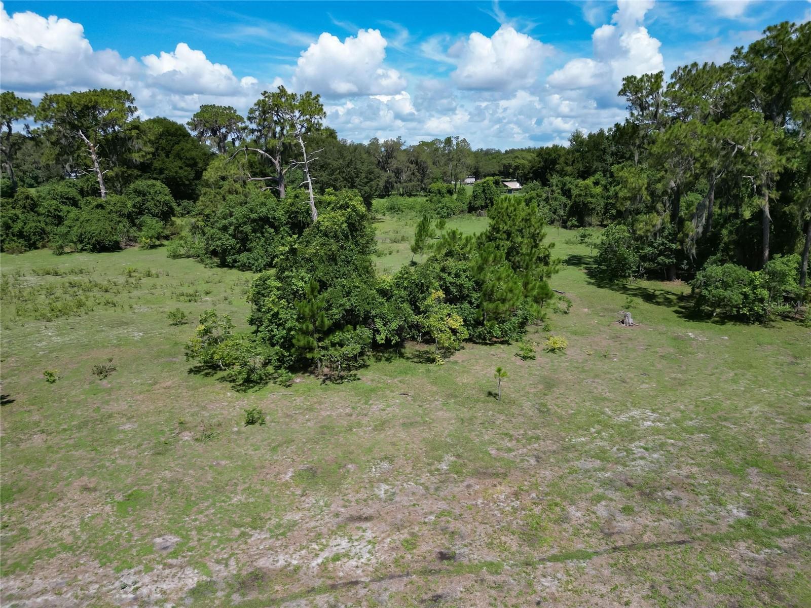 8315 TOM COSTINE RD, LAKELAND, FL — photo 11