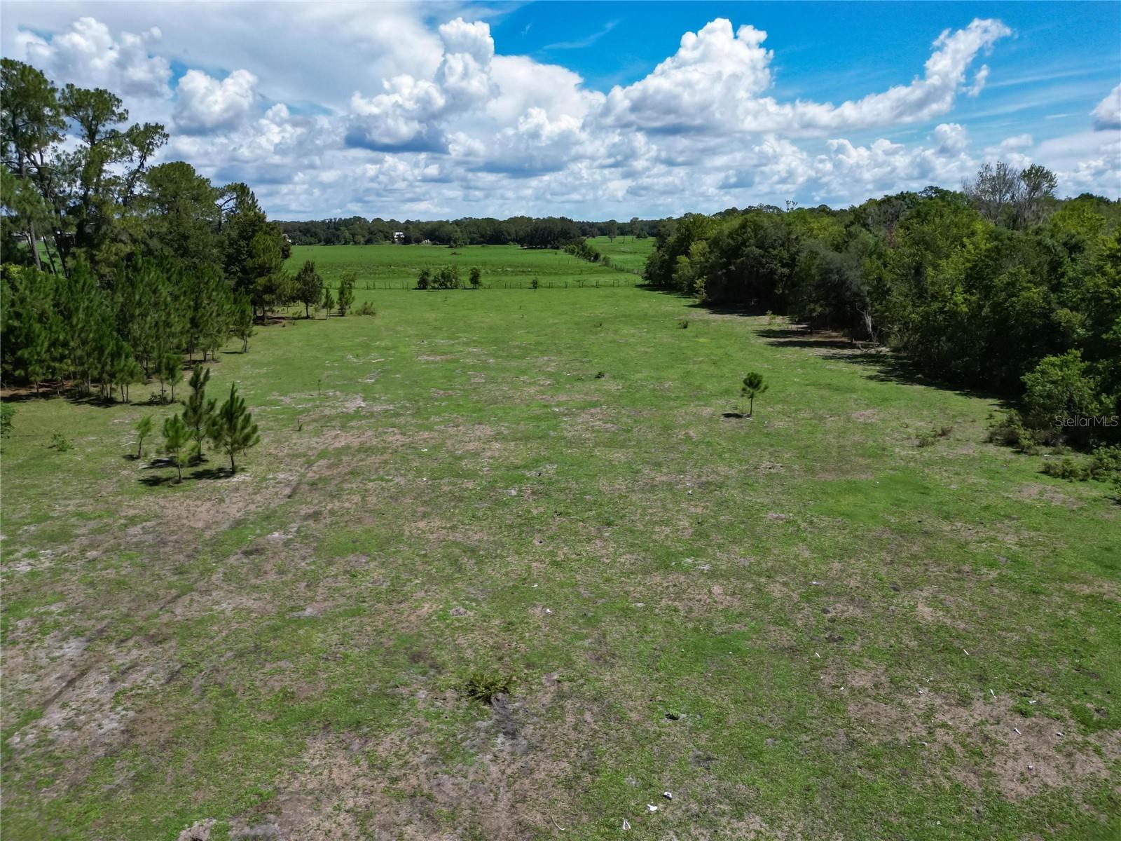 8315 TOM COSTINE RD, LAKELAND, FL — photo 12
