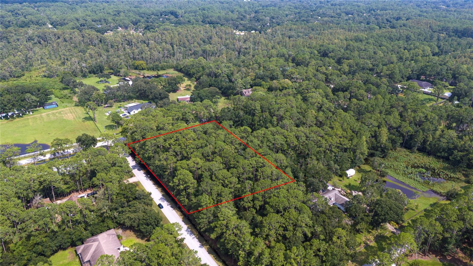 WEST DRIVE, WESLEY CHAPEL, FL — photo 6